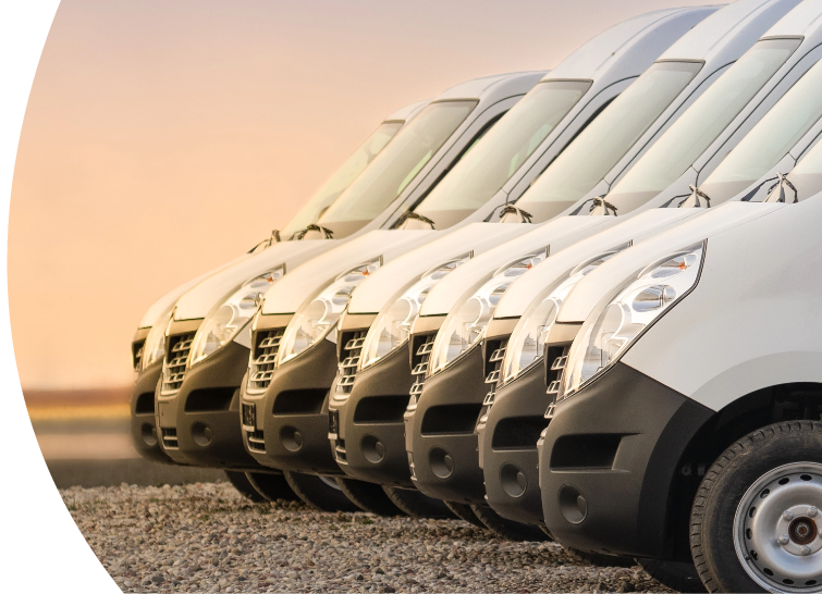 Row of white trucks parked side by side